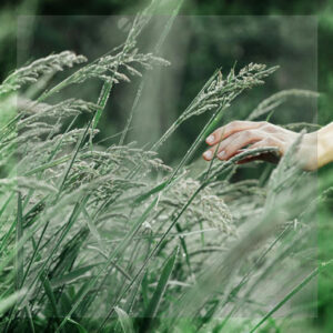 Bio-hacking para la Vida Real: Pequeños Cambios, Impacto Gigante