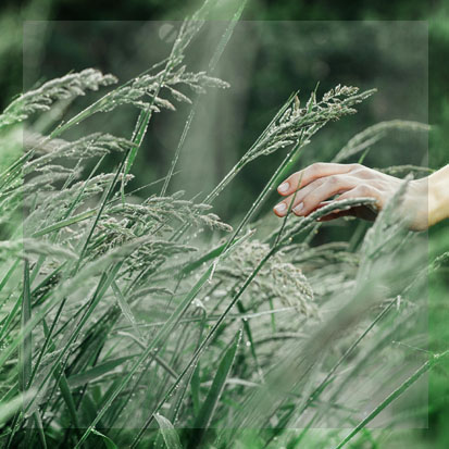 Bio-hacking para la Vida Real: Pequeños Cambios, Impacto Gigante