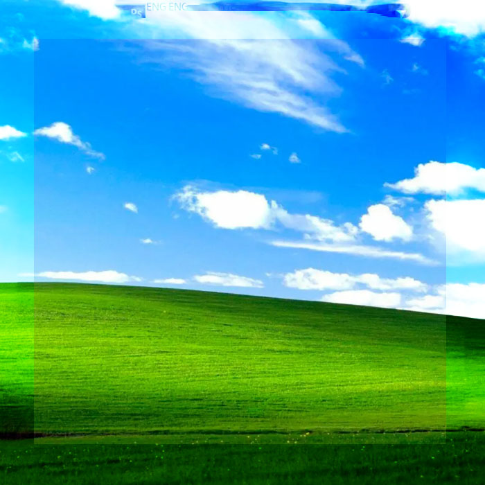 «BLISS»: LA HISTORIA DE AMOR DETRÁS DEL FONDO DE PANTALLA MÁS FAMOSO DEL MUNDO