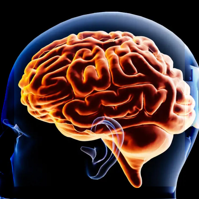 LA VACUNA CONTRA EL HERPES PODRÍA PREVENIR UNO DE CADA CINCO CASOS DE DEMENCIA