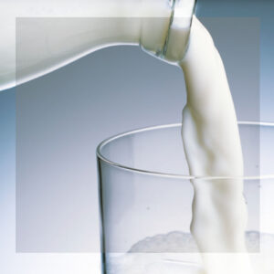 SENASA HABILITÓ EL MARCO PARA QUE LOS TAMBOS ARGENTINOS EXPORTEN LECHE A LA UNIÓN EUROPEA Y REINO UNIDO