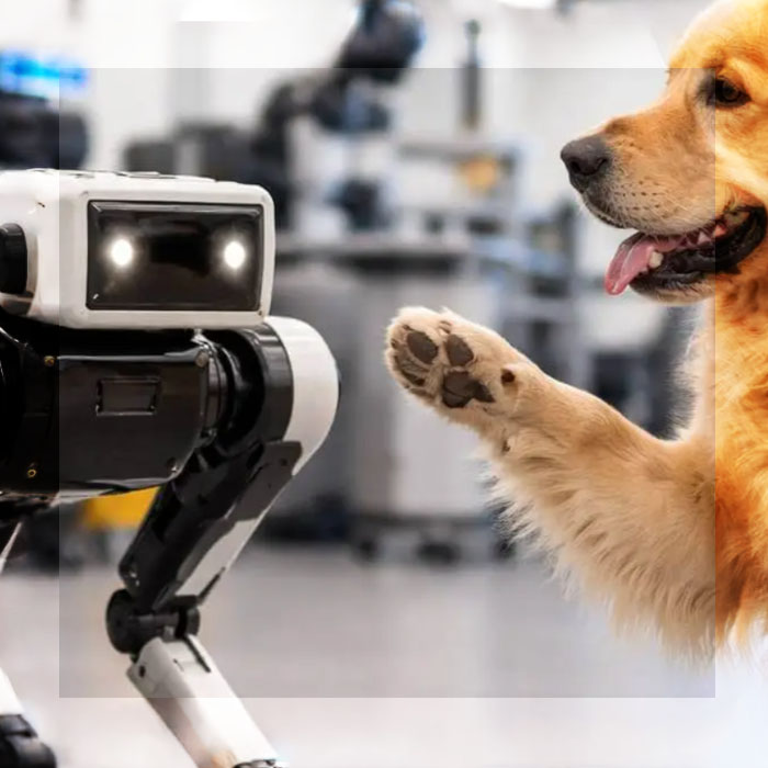 LOS PERROS ESTÁN ENSEÑANDO A LOS ROBOTS A ENTENDER LOS GESTOS Y LAS INTENCIONES HUMANAS