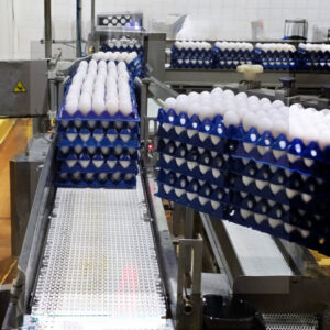 ARGENTINA PRODUCE 19.000 MILLONES DE HUEVOS AL AÑO Y ENTRE RÍOS APUNTA A LOS MERCADOS MÁS EXIGENTES