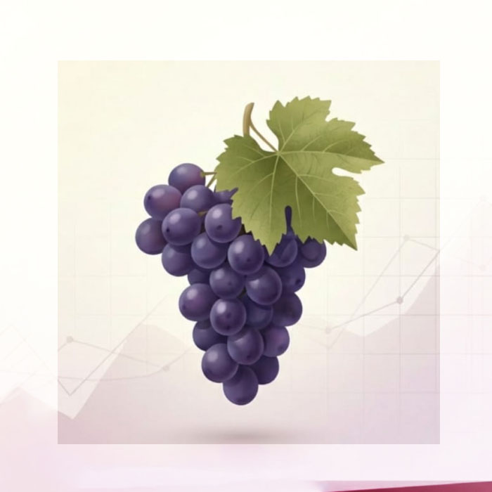 EL MALBEC LIDERA EL VINO ARGENTINO