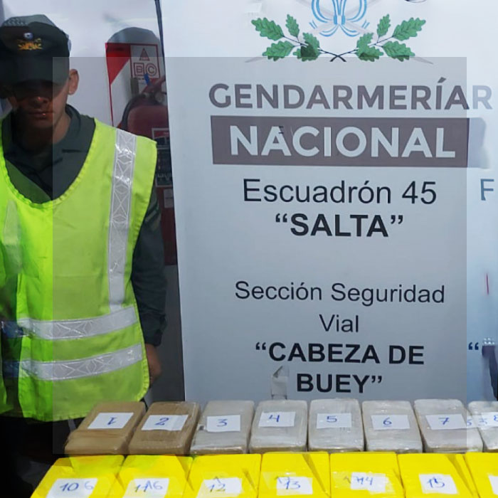 HALLARON MÁS DE 18 KILOS DE COCAÍNA EN UN ÓMNIBUS Y EN LOS BOLSOS DE DOS PASAJERAS EN SALTA
