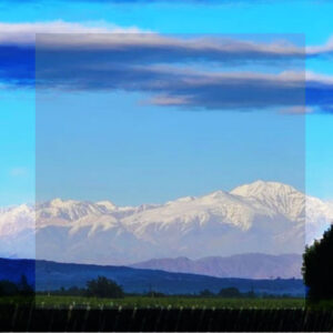 INTA Y PRODUCTORES POR ESPACIOS DE CONSERVACIÓN EN LA PRODUCCIÓN