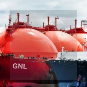 DOS EMPRESAS SE PRESENTARON EN LA LICITACIÓN PARA PRIVATIZAR LA IMPORTACIÓN DE GNL