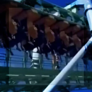 SUSTO EN EL PARQUE DE LA COSTA: SE ROMPIÓ UNA MONTAÑA RUSA Y LA GENTE QUEDÓ COLGADA 20 MINUTOS