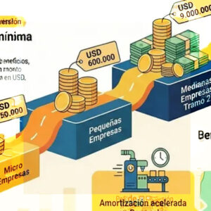RIMI REGLAMENTADO, INCENTIVOS A LA INVERSIÓN DE LAS MIPYMES