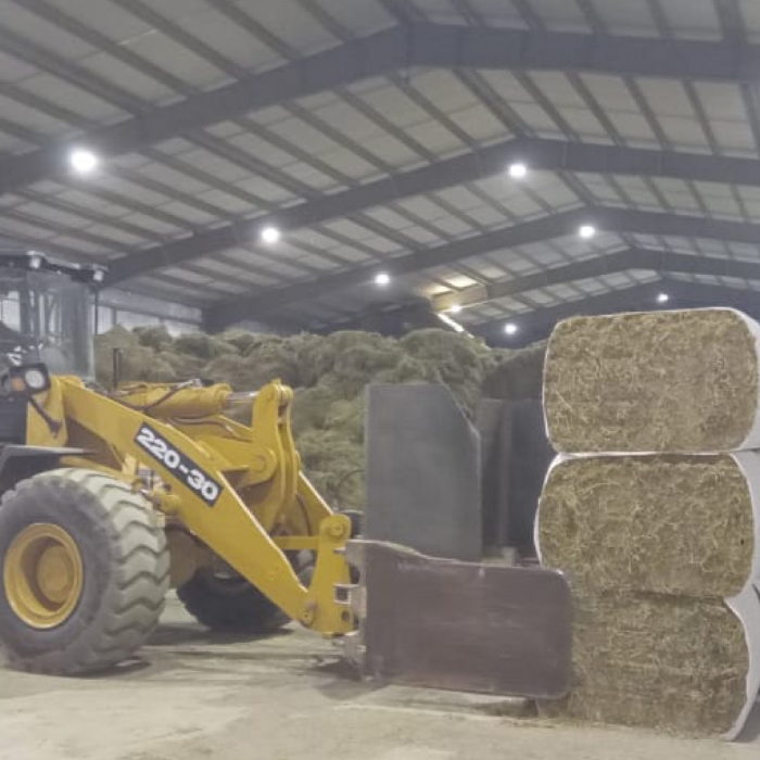SAN LUIS EXPORTÓ POR PRIMERA VEZ 500 TONELADAS DE ALFALFA A CHINA DESDE CANDELARIA