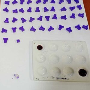 Río Negro: Intentan descartar 201 pastillas de anfetamina para evitar un control vial