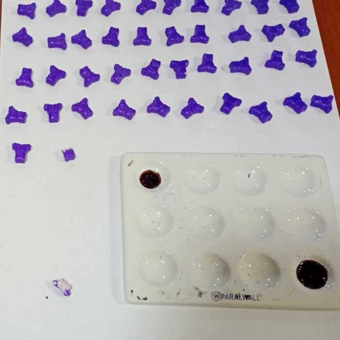 Río Negro: Intentan descartar 201 pastillas de anfetamina para evitar un control vial