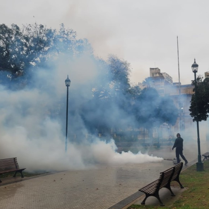EL MUNICIPIO DE ROSARIO CONTINÚA CON LOS OPERATIVOS DE FUMIGACIÓN EN PARQUES, PLAZAS Y ESPACIOS VERDES