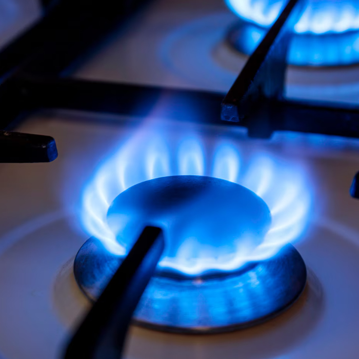 EL GOBIERNO FIJÓ UNA BONIFICACIÓN TOTAL DEL 75% EN LA FACTURA DE GAS PARA USUARIOS SUBSIDIADOS DURANTE MAYO