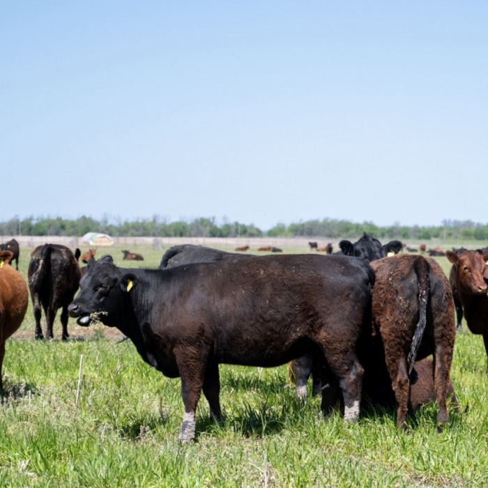 Se promueven herramientas y capacitaciones para potenciar al ámbito productivo rural de La Pampa