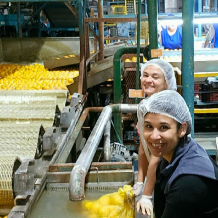 NAT4BIO: LA STARTUP ARGENTINA QUE PROTEGE FRUTAS Y VERDURAS CON RECUBRIMIENTOS NATURALES Y BIODEGRADABLES