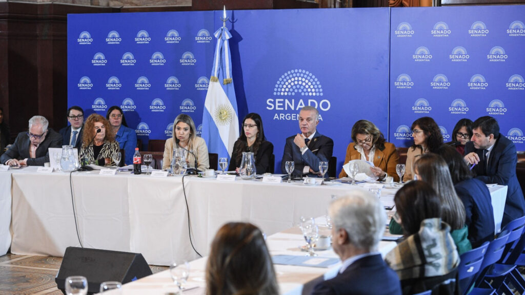 Continúa el debate sobre la modificación de la Ley de Salud Mental en el Senado