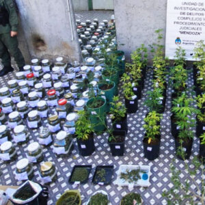 MENDOZA: DESARTICULARON UNA ORGANIZACIÓN TRANSNACIONAL DE TRÁFICO DE PERSONAS, ARMAS Y DROGAS CON OPERACIONES EN CHILE