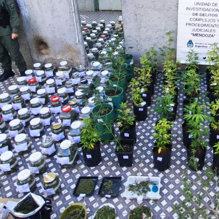 MENDOZA: DESARTICULARON UNA ORGANIZACIÓN TRANSNACIONAL DE TRÁFICO DE PERSONAS, ARMAS Y DROGAS CON OPERACIONES EN CHILE