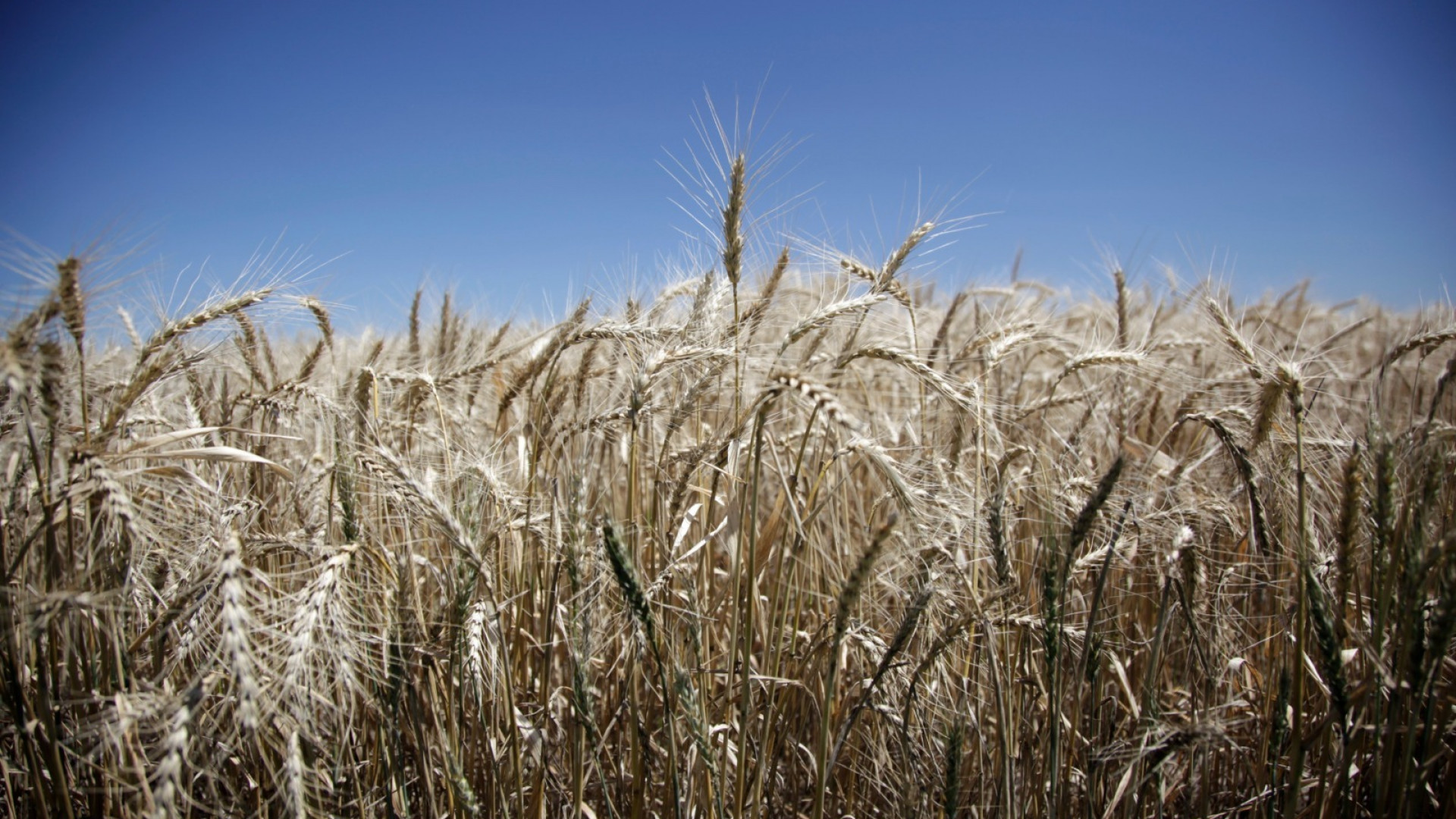 Argentina bate un nuevo récord histórico agroindustrial con el mayor volumen de exportaciones