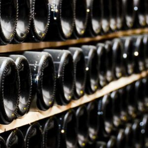 La cosecha de uvas 2026 en Argentina superó los 18 millones de quintales con una excelente calidad enológica
