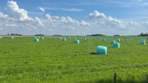 Las exportaciones de alfalfa crecieron un 90% durante el primer trimestre de 2026