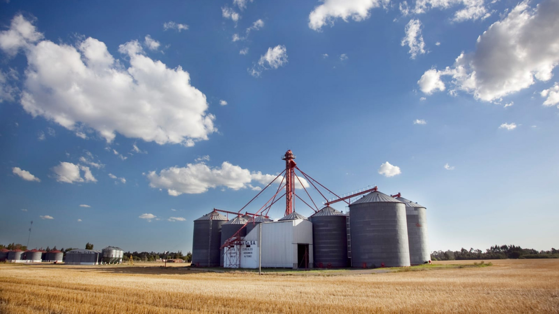 El Gobierno Nacional oficializó una nueva reducción de los derechos de exportación al campo