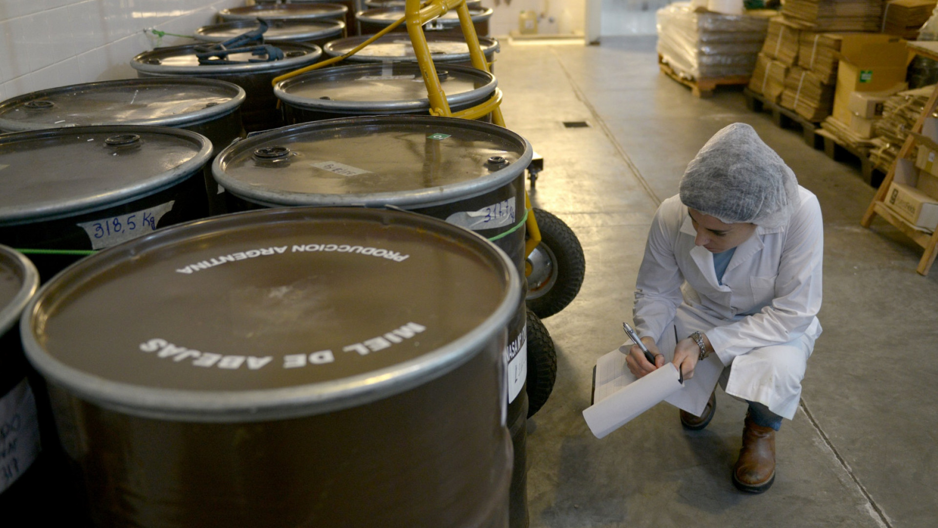 Las exportaciones del conjunto de producciones regionales alcanzaron un récord en valor de los últimos 22 años