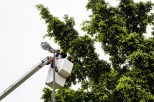 Durante el mes de mayo se instalaron más de 1.600 luces led en toda la ciudad