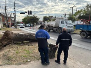 El municipio concretó más de 2.000 acciones para liberar el espacio público en 2026