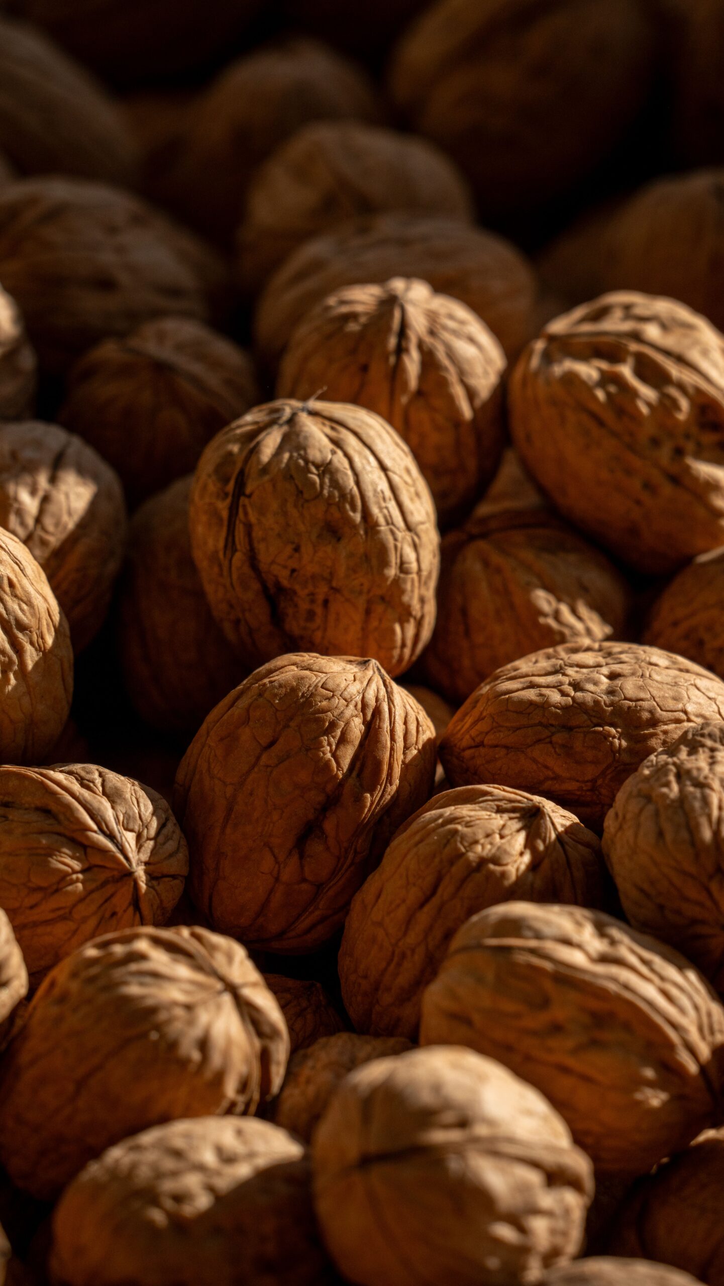 Nueces: Tipos, Beneficios y 2 Recetas Súper Fáciles para Sumarlas a tu Rutina
