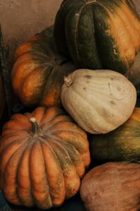 De Raíz Americana: El Viaje de las Calabazas que recorre el mundo