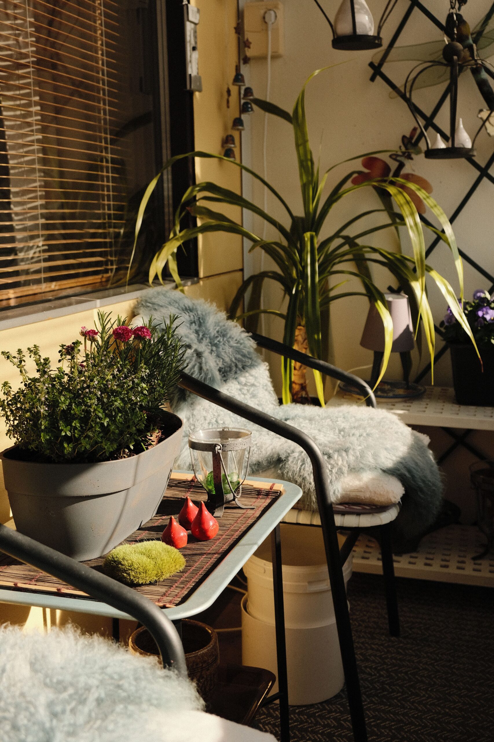 De balcon cerrado a micro patio de invierno!