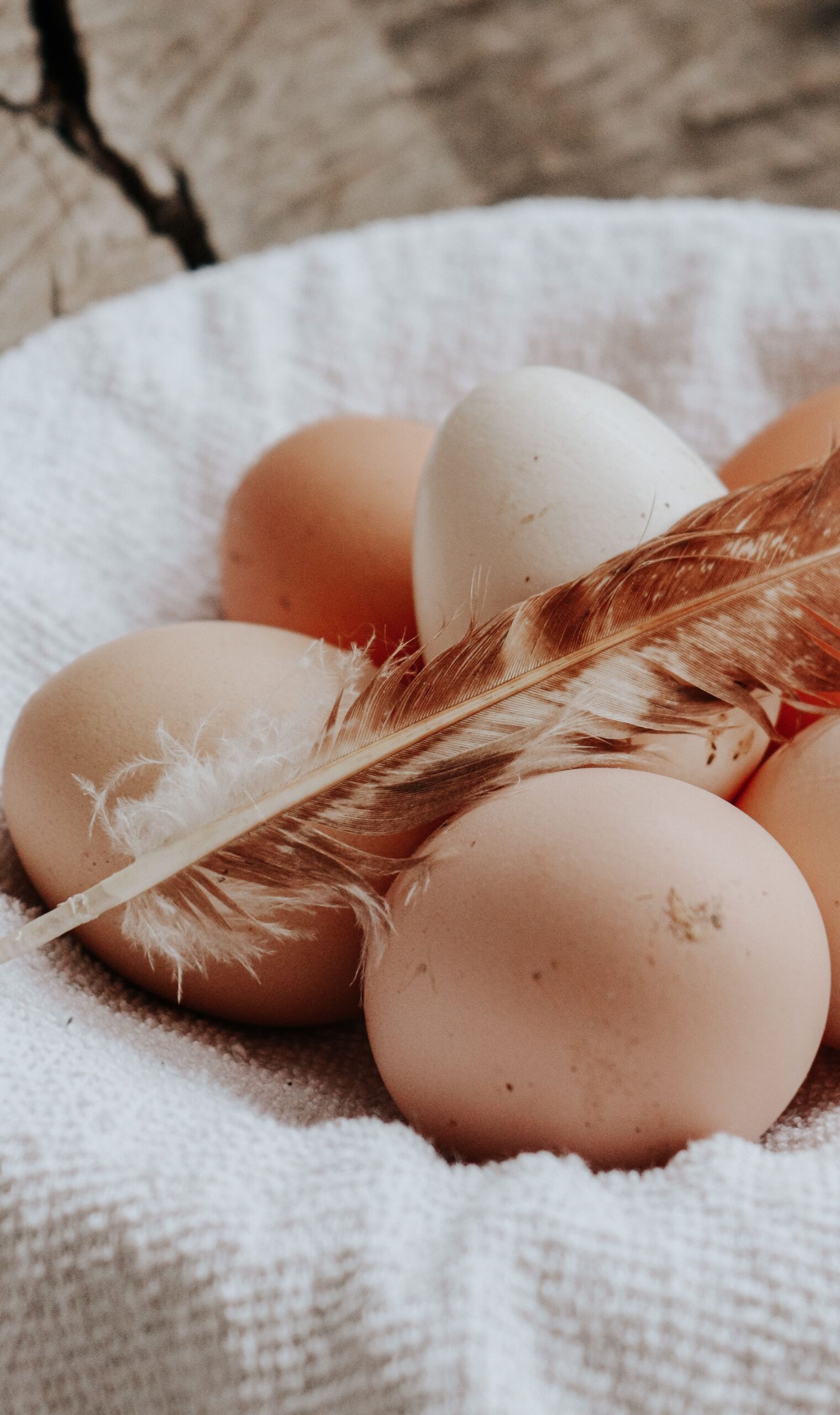 Más allá de la gallina, los huevos comestibles en el mercado