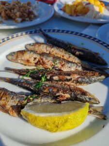 Sardinas el tesoro del mar