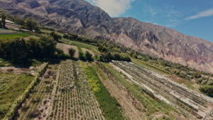 Nueva Guía de recomendaciones para pueblos rurales – BTV Argentina