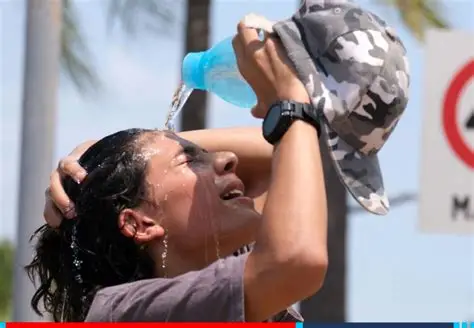 Al menos 3.700 muertes en exceso reportadas durante la ola de calor en Francia, Bélgica y Países Bajos