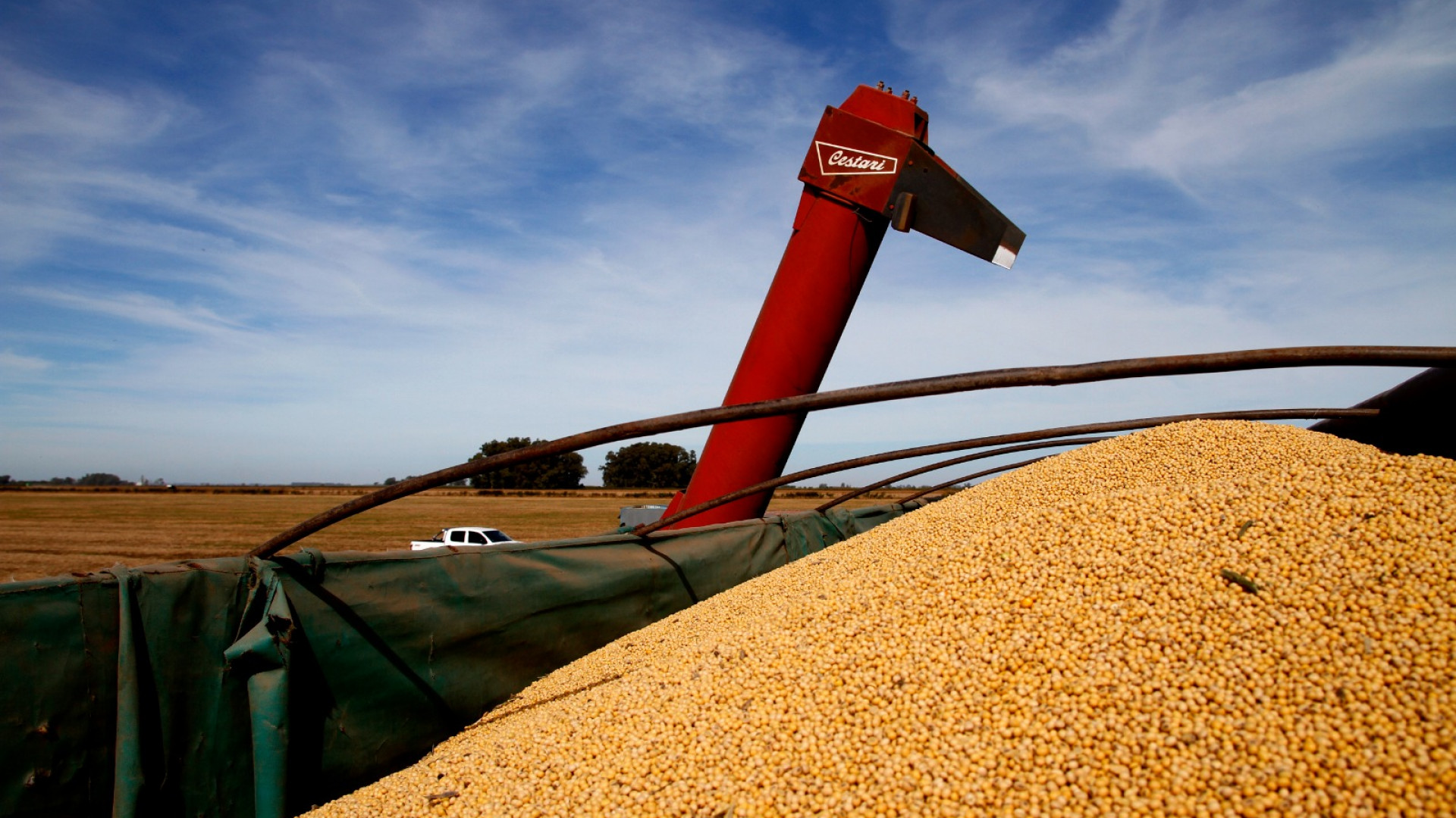 La cosecha de soja alcanza una producción de más de 49 millones de toneladas