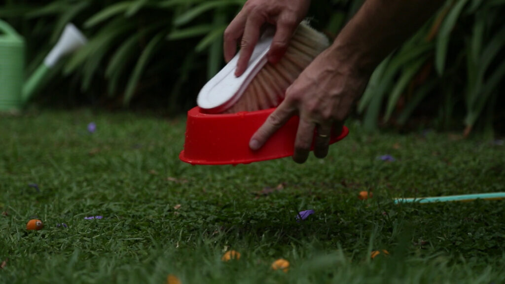 Salud sostiene la vigilancia y eliminación del mosquito Aedes aegypti durante la temporada invernal