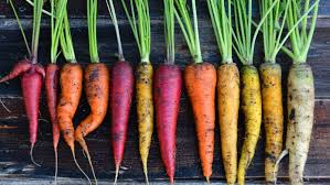 El arcoíris en el plato: la fascinante historia secreta de las zanahorias (y por qué no siempre fueron naranjas)