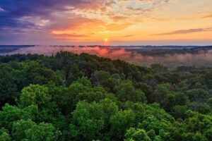 La Amazonía suramericana refuerza sus pulmones: Ecuador y Perú anuncian masivas áreas de conservación biológica
