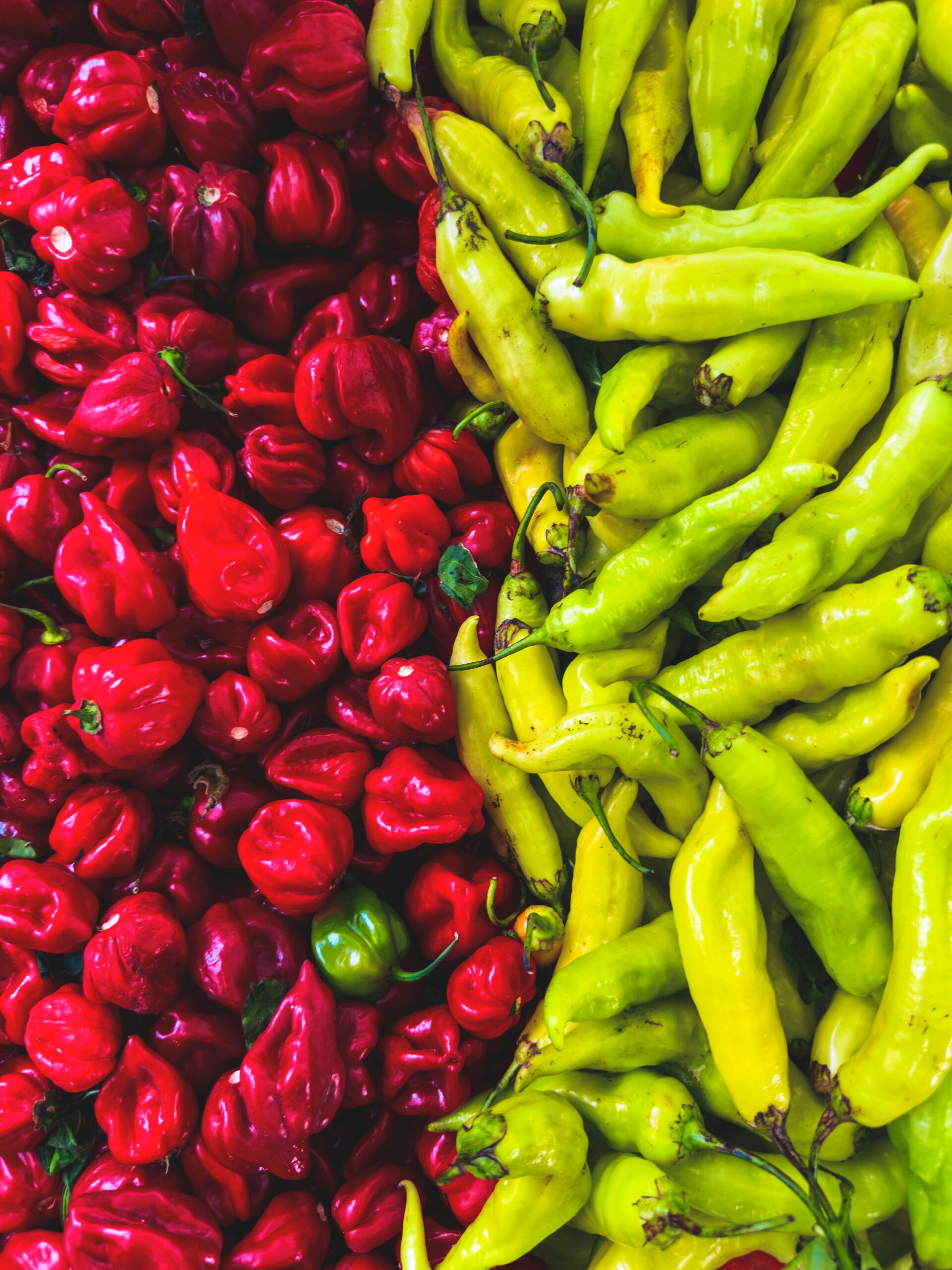 El mundo en llamas: el universo de los chiles