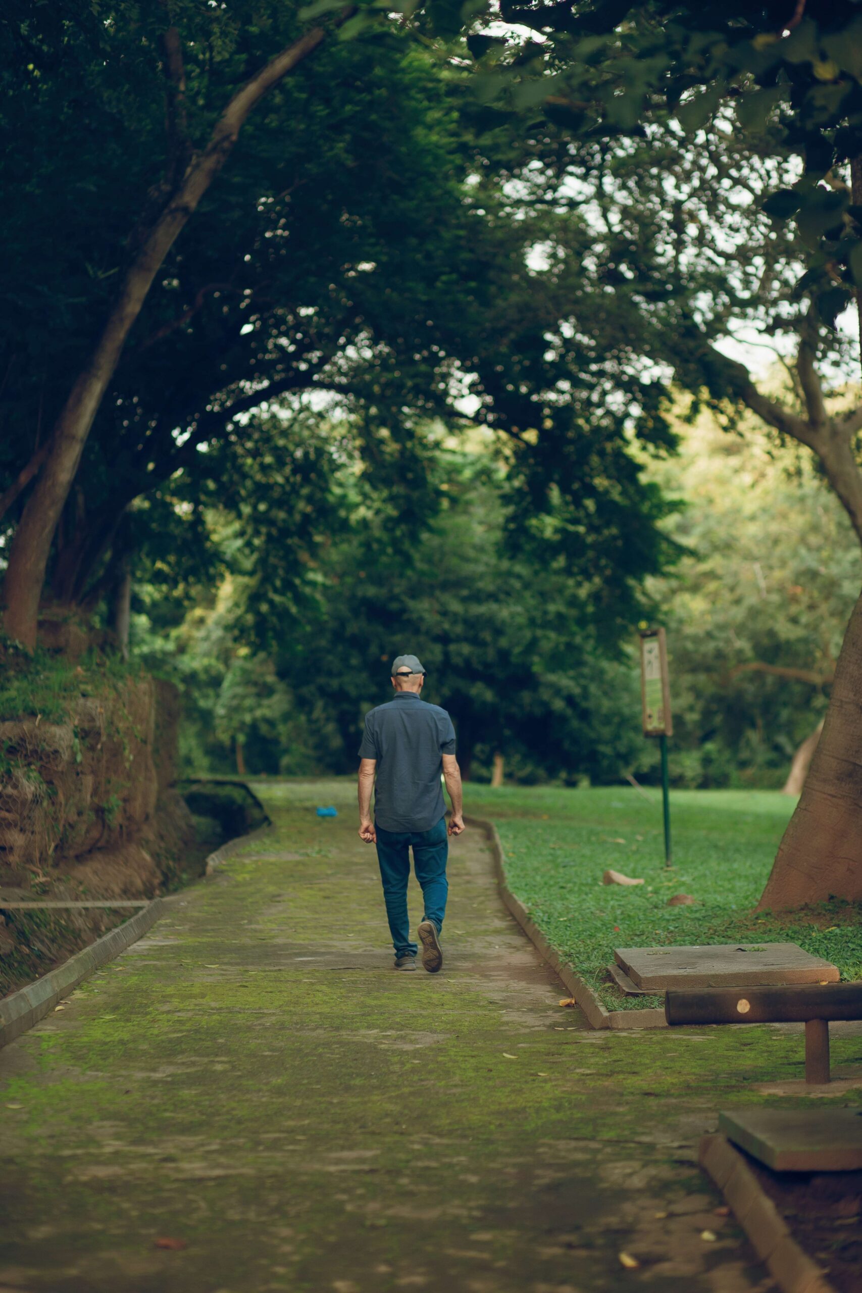 Caminar después de comer puede cambiar la forma en que el cerebro y el cuerpo responden a los alimentos