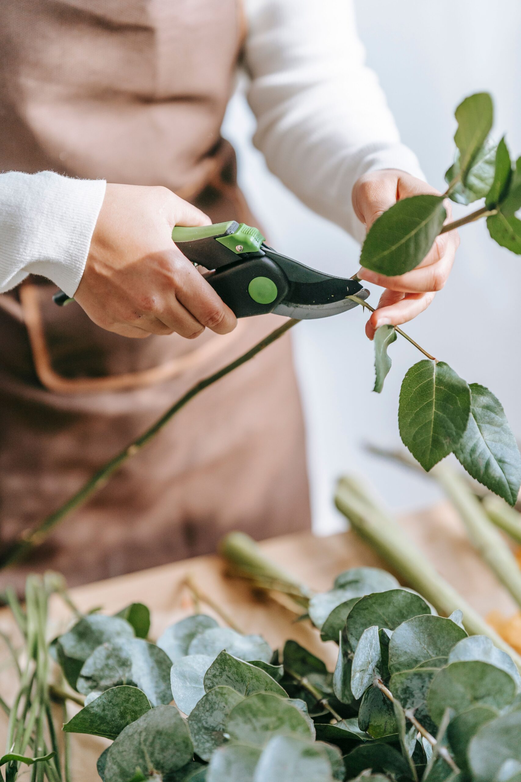El arte de cortar a tiempo: Guía de poda para renovar el jardín este invierno