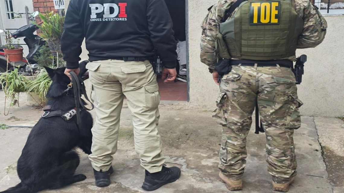 Rosario: el olfato de “Kenzo”, clave para el secuestro de droga en allanamientos por microtráfico