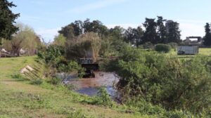Fenómeno de El Niño: comenzaron los trabajos de limpieza y desmalezamiento en el canal de desagüe pluvial del Túnel Subfluvial