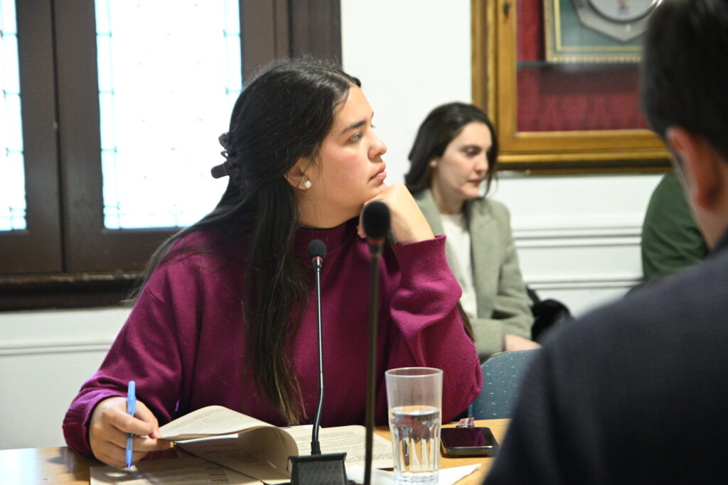 Audiencia por propuesta de sistema para cuidacoches