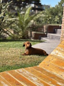 El arte de pausar: por qué una tarde de sol en invierno es el mejor remedio natural