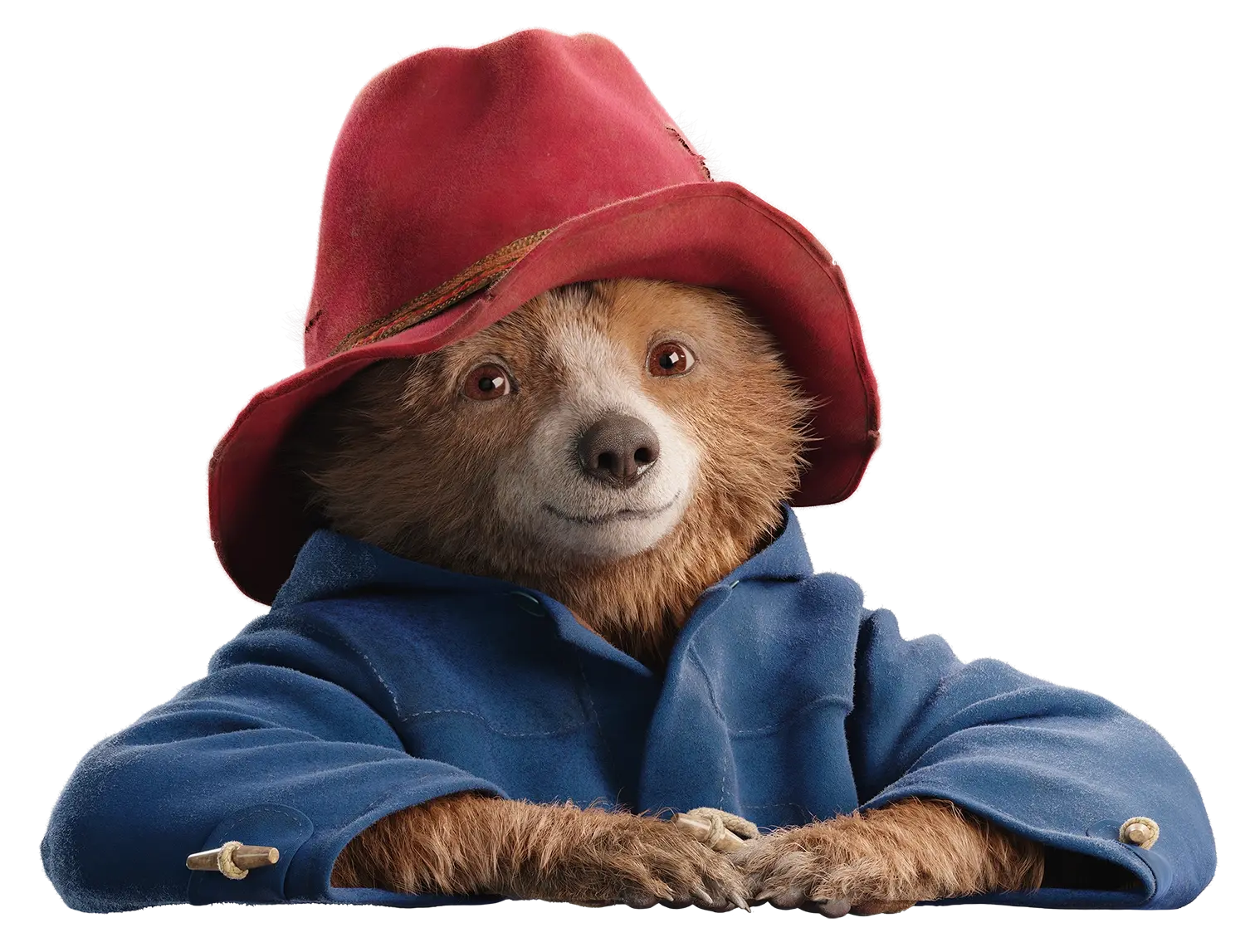 El oso que nos enseñó a recibir al extranjero: La conmovedora vigencia de Paddington