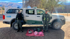 Gendarmería incautó más de 17 kilos de droga en la Ruta 40